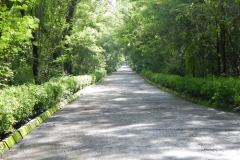 A road in Atul